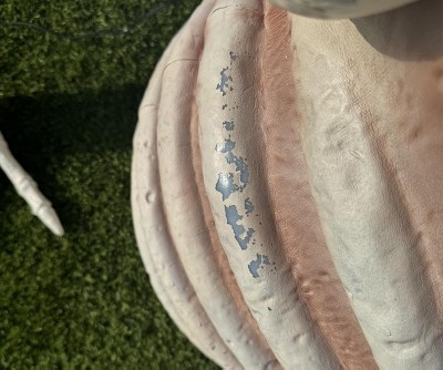 Guest review image 1 of 6, zoom in