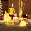 Tangkula 2-Piece Christmas Lighted Dogs 3D Xmas Light-up Cute Poodle with 60 LED Lights Red Scarves Zip Ties & Ground Stakes - 2 of 4