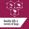 STEM Ant-Roach- Fly Insect Killer Bug Spray - 12oz - 3 of 4