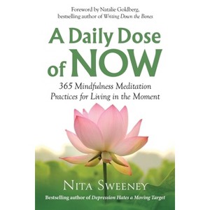A Daily Dose of Now - by  Nita Sweeney (Paperback) - 1 of 1
