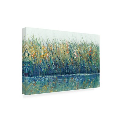 Trademark Fine Art -Tim Otoole 'Wildflower Reflection I' Canvas Art