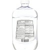 Swan 1000042665 Mineral Oil, 16 oz (Each) - 2 of 2