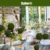 Aoibox Natural Green Moss Decorative Balls, Handmade Set of 6 for Crafting, Weddings, Holidays, Floral Arrangements, Tablescapes and Home Decor - 3 of 4