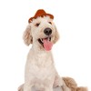 Midlee Cowboy Hat Dog Headband Halloween Costume- Large - 4 of 4