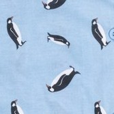 penguin