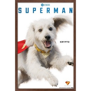 Trends International DC Comics Superman (2025) - Krypto Feature Series Framed Wall Poster Prints - 1 of 4