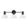Capital Lighting Greer 3 - Light Vanity in  Matte Black - 3 of 3