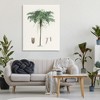 Stupell Industries Vintage Palm Tree Study Canvas Art - 3 of 4