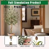 Acekool Artificial Faux Olive Tree with Moss in Black Pot, Adjustable Branches and Realistic Silk Leaves for Indoor Home & Office Decor - 3 of 4