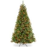 National Tree Company 7 ft Pre-Lit Artificial Full Christmas Tree, Green, North Valley Spruce, Multicolor Lights, Includes Stand