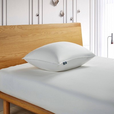 Down Fiber Back Sleeper Bed Pillow 