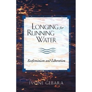 Longing for Running Water - (Biblical Reflections on Ministry) by  Ivone Gebara (Paperback) - 1 of 1