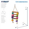 Prevue Pet Products Bodacious Bites Bird Toy Color: Chow, Size: Small - 3 of 3