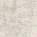 ivory grey