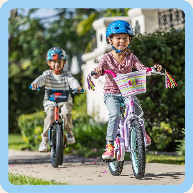 Schwinn Target