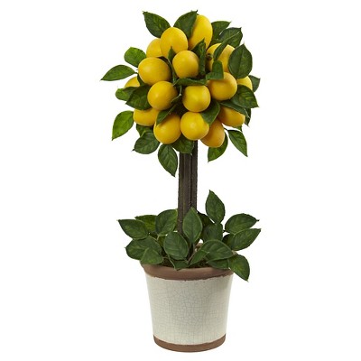 Lemon Ball Topiary Arrangement - Yellow