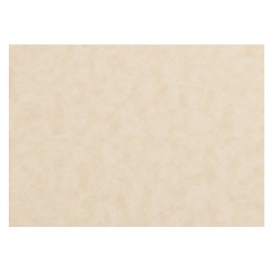 JAM Paper Blank Flat Note Cards 3 1/2" x 4 7/8" Natural Parchment 50/pack 217512693