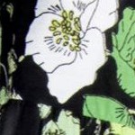 black green floral