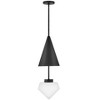 Lark Betty 1 - Light Pendant in  Black - 3 of 4