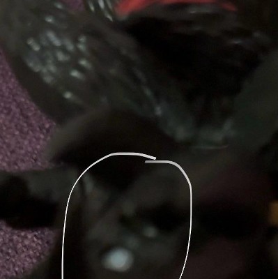 Guest review image 1 of 2, zoom in