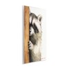 Stupell Industries Peering Raccoon Watercolor, 10" x 15" - 3 of 4
