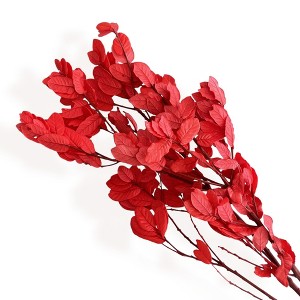 Alilang Decorative Dried Leafy Branches for Modern Home Decoration and Floral Arrangements, 15.5 Inches - 1 of 3