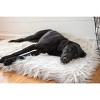 PAW BRANDS PupRug Faux Fur Orthopedic Luxury Dog Bed - 3 of 4