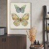 Courtside Market Botanical Butterfly II Gallery-Wrapped Canvas - 2 of 4