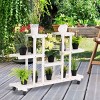 Tangkula 4-Tier Rolling Flower Rack Wood Plant Stand 12 Pots Bonsai Display Shelf - 3 of 4