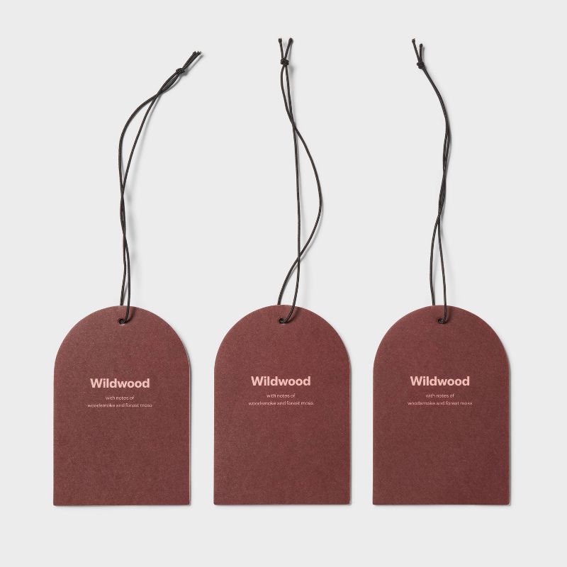 3pk Wildwood Small Hanging Car Diffusers - Room Essentials&#8482;, 4 of 5