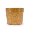 Chic Crate 3‑Piece Ceramic Flowerpot Set with Drainage – Modern Planters for Patio, Garden & Windowsills - 4 of 4