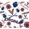 NCAA Virginia Cavaliers Tervis All Over Venture Water Bottle - 24oz - 2 of 4