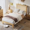 Rattan Bed Frame, Bohemian Rattan Bed Frame Twin with Natural Headboard, LED Lights, No Box Spring Needed - 4 of 4