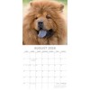 2026 Square Wall Calendar, Chow Chow, 16-Month Animals Theme with 180 Reminder Stickers (12x12 In) - 3 of 4