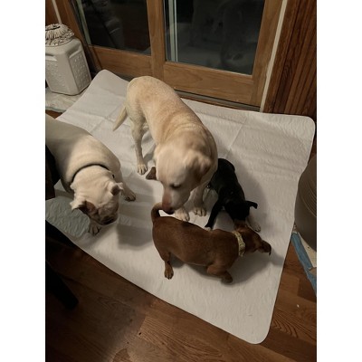 Extra Large White Washable Dog Pee Pads Pack of 3