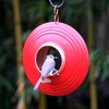 Good Directions Steel Mojave Multi-Perch Fly Thru Novelty Bird Feeder 10" - 3 of 4