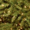 National Tree Company 4.5' Pre-Lit Dunhill Fir Hinged Artificial Christmas Tree with Clear Lights - 4 of 4