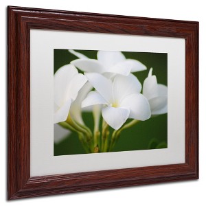 Trademark Fine Art - Monica Mize 'Picture Perfect' Matted Framed Art - 1 of 3