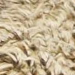 beige, taupe, sandstone