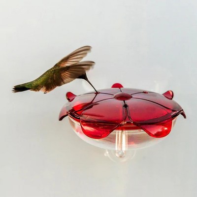 Ruby Red and Clear Polycarbonate Window Mounted Hummingbird Feeder