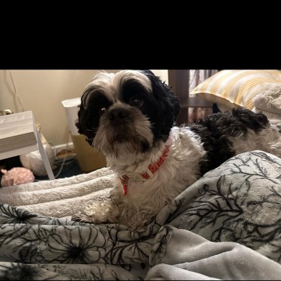 Guest review image 1 of 1, zoom in