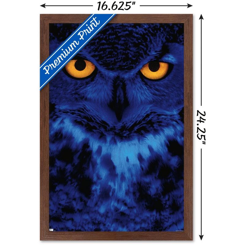 Trends International Owl - Eyes Framed Wall Poster Prints, 3 of 7