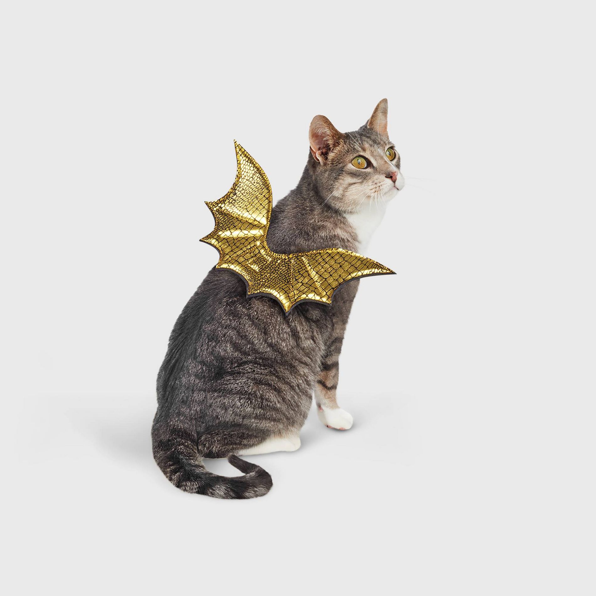Halloween Gold Wings Cat Costume - Hyde and EEK! Boutique™ One Size Fits Most