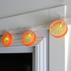 Northlight 10ct Battery Operated Orange Slice Summer LED String Lights Warm White - 4.5' Clear Wire - image 2 of 3