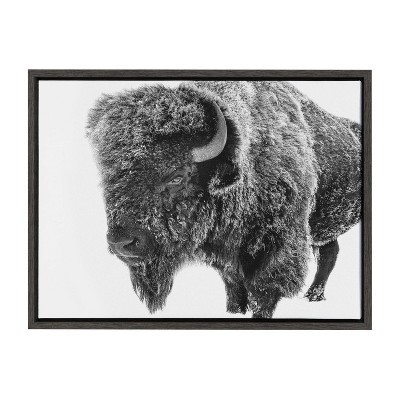 18" x 24" Black and White Bison Canvas Print with Dark Frame