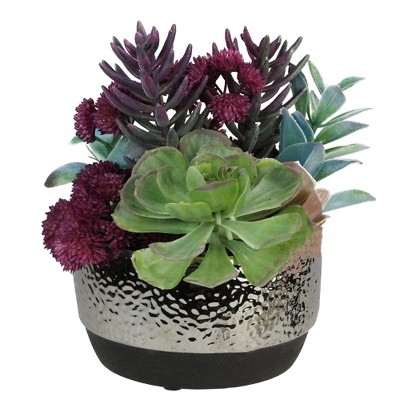 Northlight 8" Succulent Plant Artificial Potted Arrangement - Purple/Green