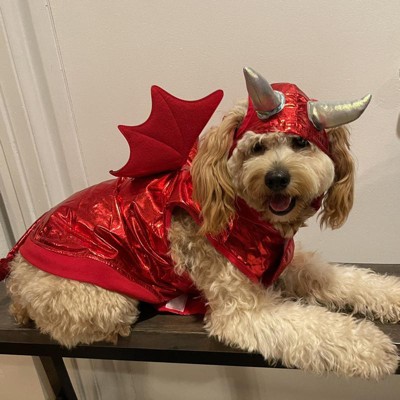 Halloween Red Metallic Devil Dog and Cat Hoodie Costume - XS - Hyde & EEK!  Boutique™