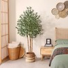 DR.Planzen 5-7FT Artificial Olive Tree with Real Wood Trunks & Triple-Stem Design in White Planter, Lifelike Faux Tree Plant for Indoor Outdoor Decor - 3 of 4