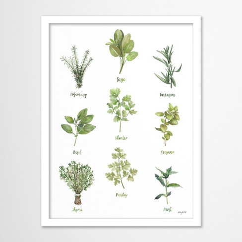 Americanflat Botanical 11x14 White Framed Print - Herb Chart 1 Wall Art ...