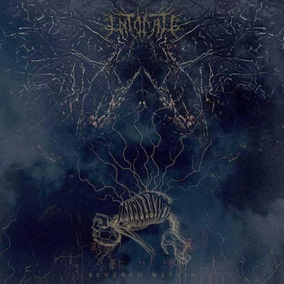 Intonate - Severed WIthin (Random Mixed Color LP) (Vinyl)